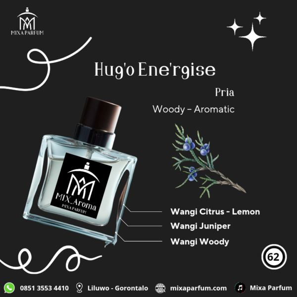 Hugo Energise