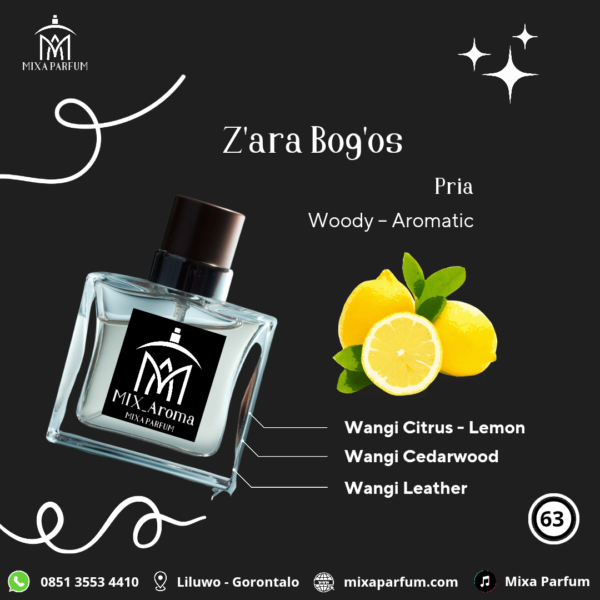 Zara Bogos