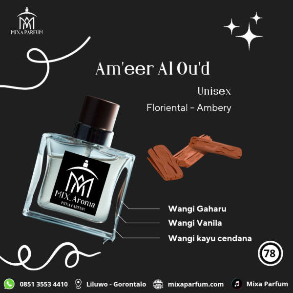 Ameer Al Oud